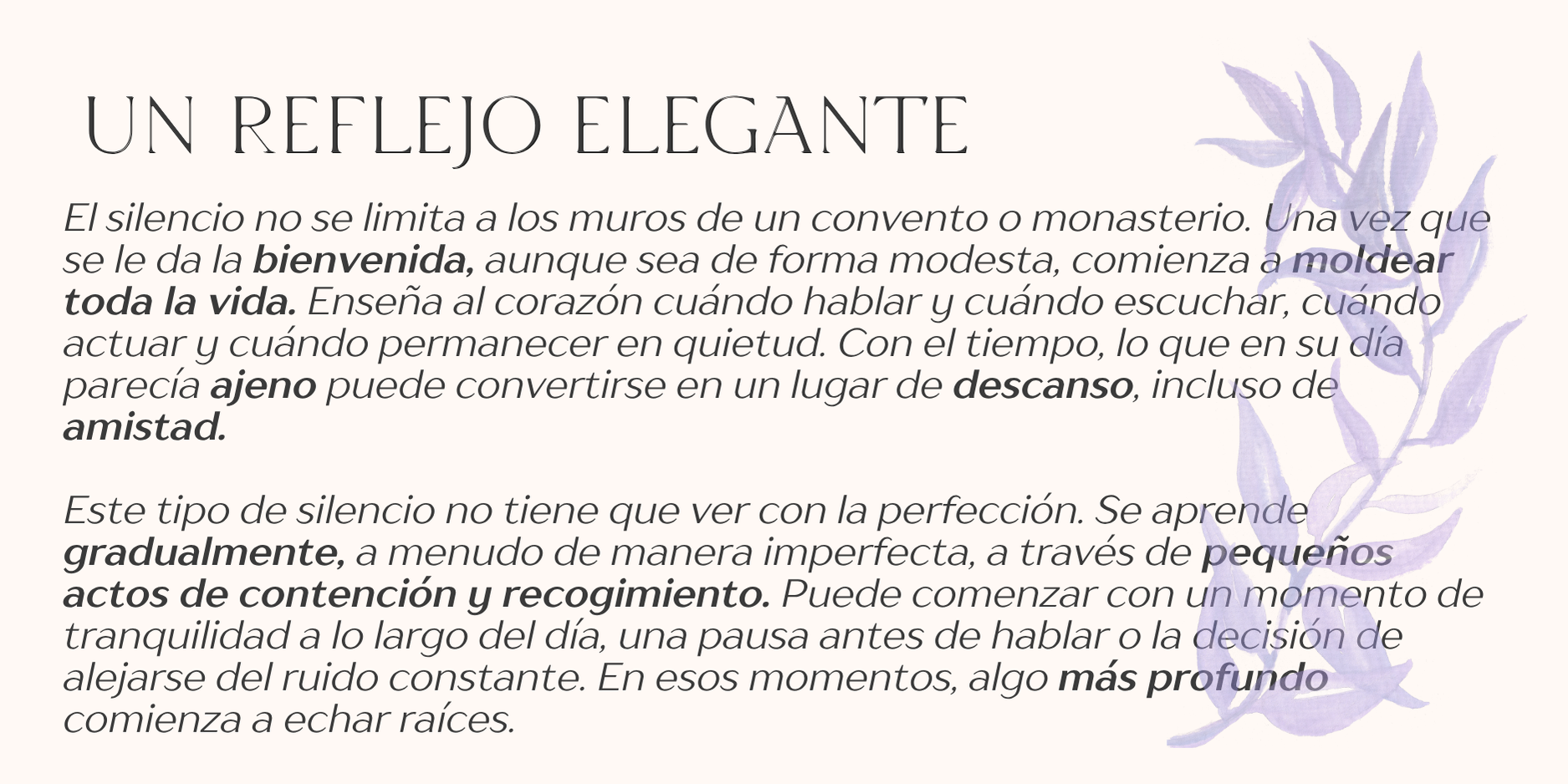 English and Spanish Newsletters for the Little Sisters of the Poor